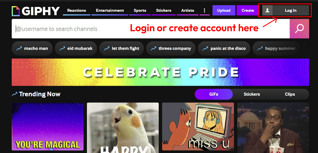 GIPHY API Key Configuration