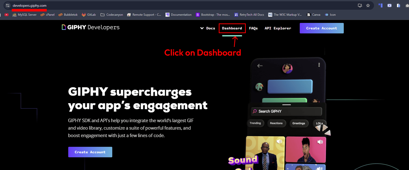 GIPHY API Key Configuration